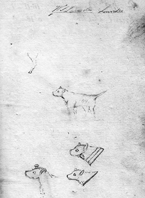 Drawings of dogs